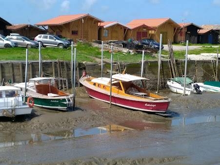 Le Restaurant - La Cabane 301 - Gujan-Mestras - Restaurant Port Gujan-Mestras