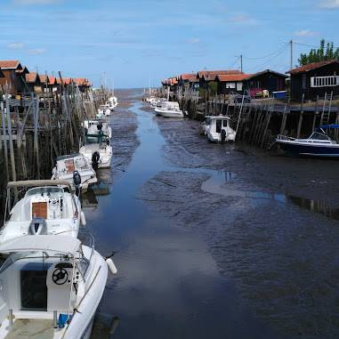 Le Restaurant - La Cabane 301 - Gujan-Mestras - Restaurant Port Gujan-Mestras